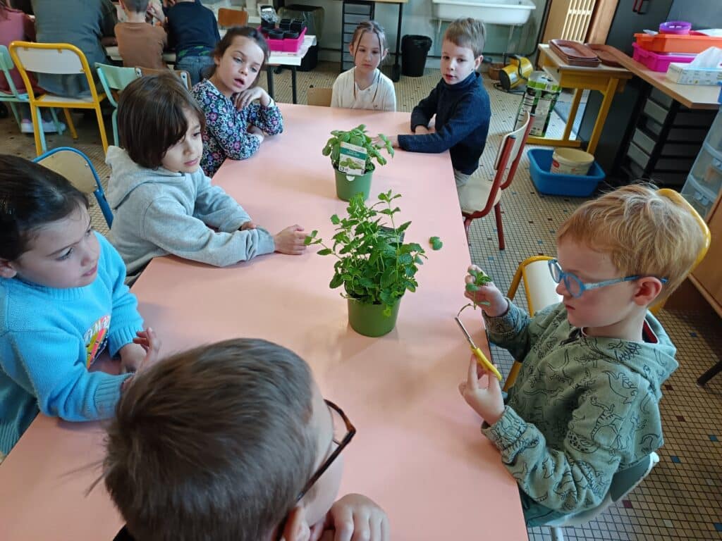 2025 05 15 Plantation des GS 1