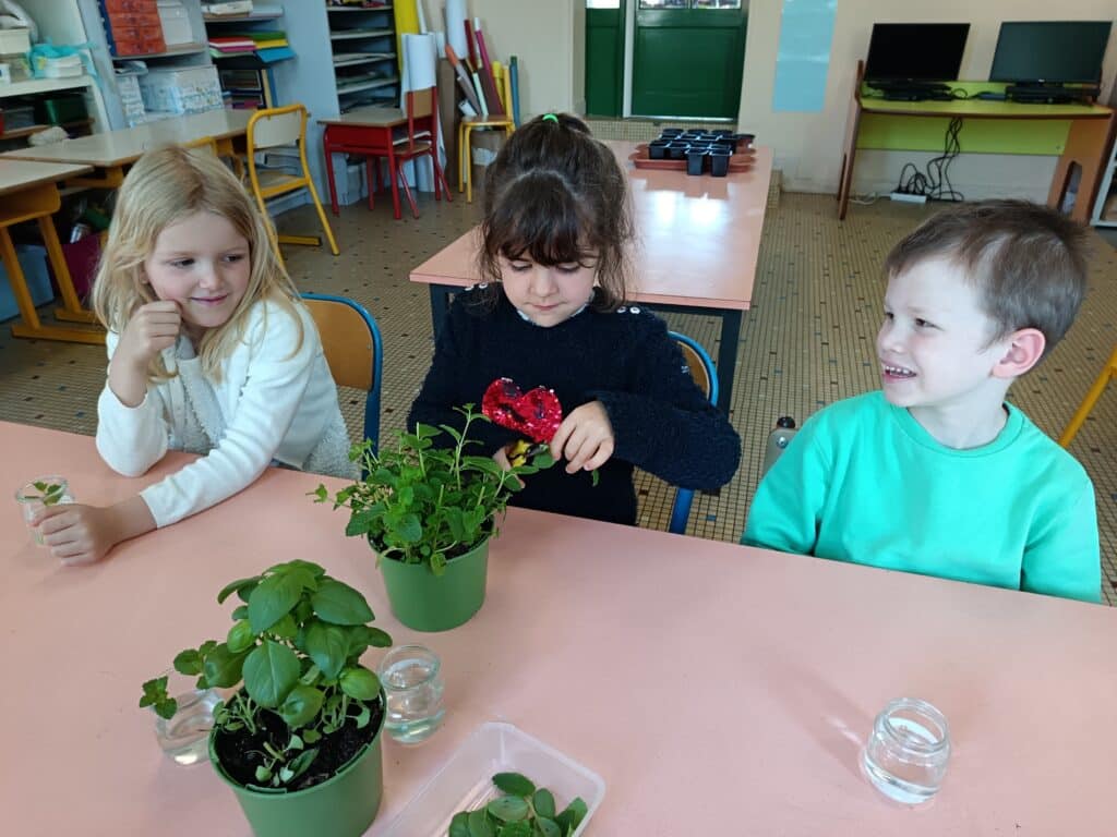 2025 05 15 Plantation des GS 3