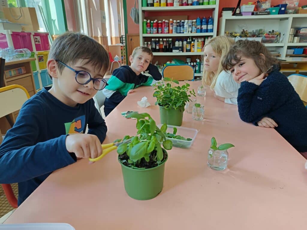 2025 05 15 Plantation des GS 6