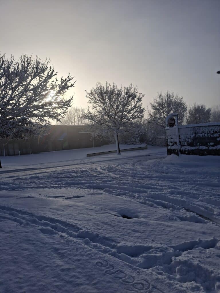 525e9d42 2293 4d3e 9047 275c0ff735de