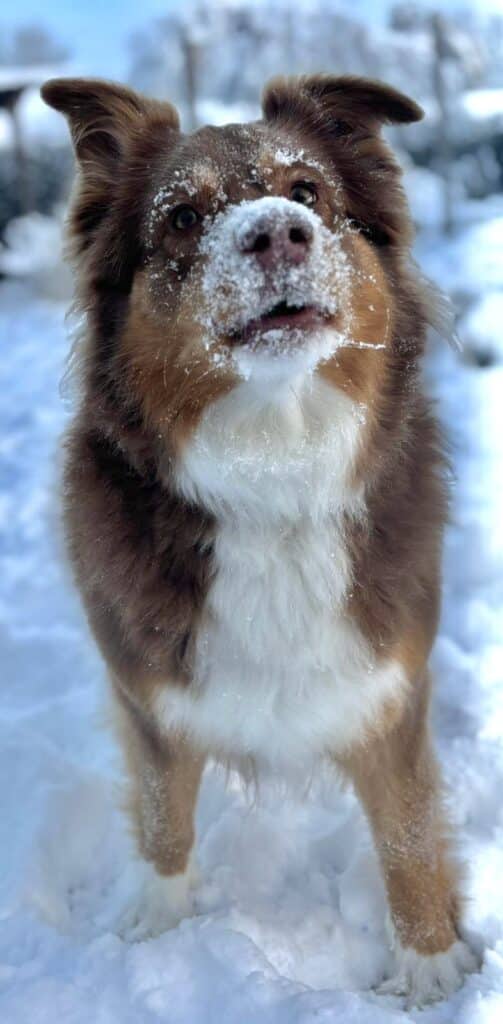 8259051d c2a8 4dc3 99dc 01955c724e23