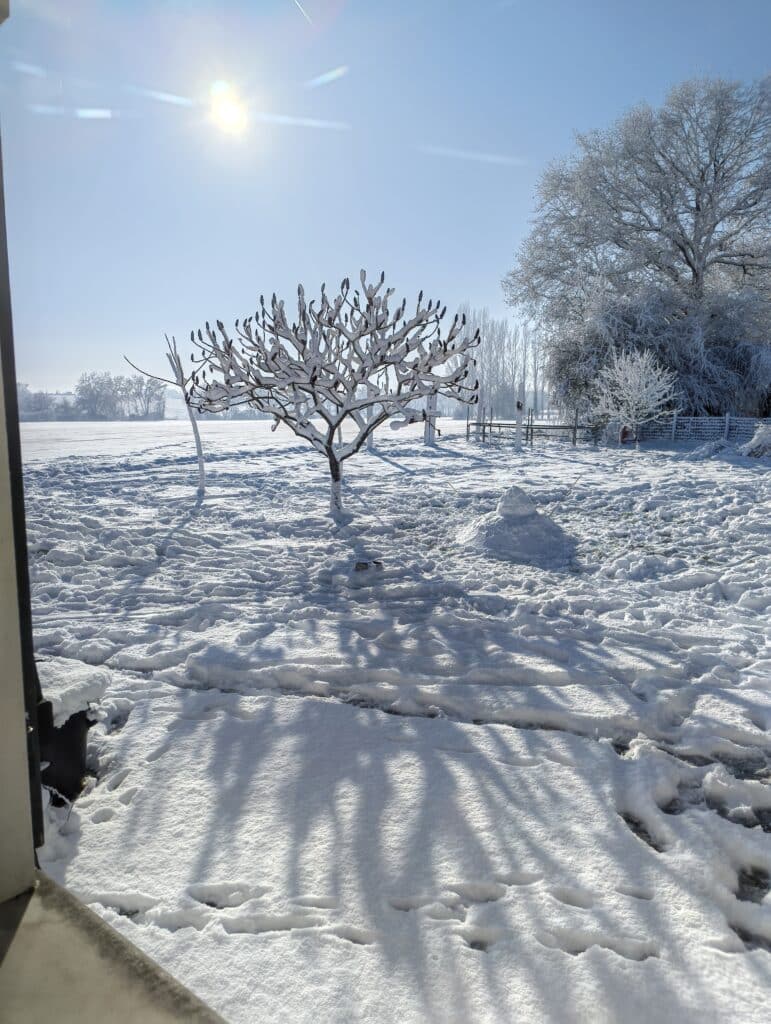 IMG 20260106 134020535