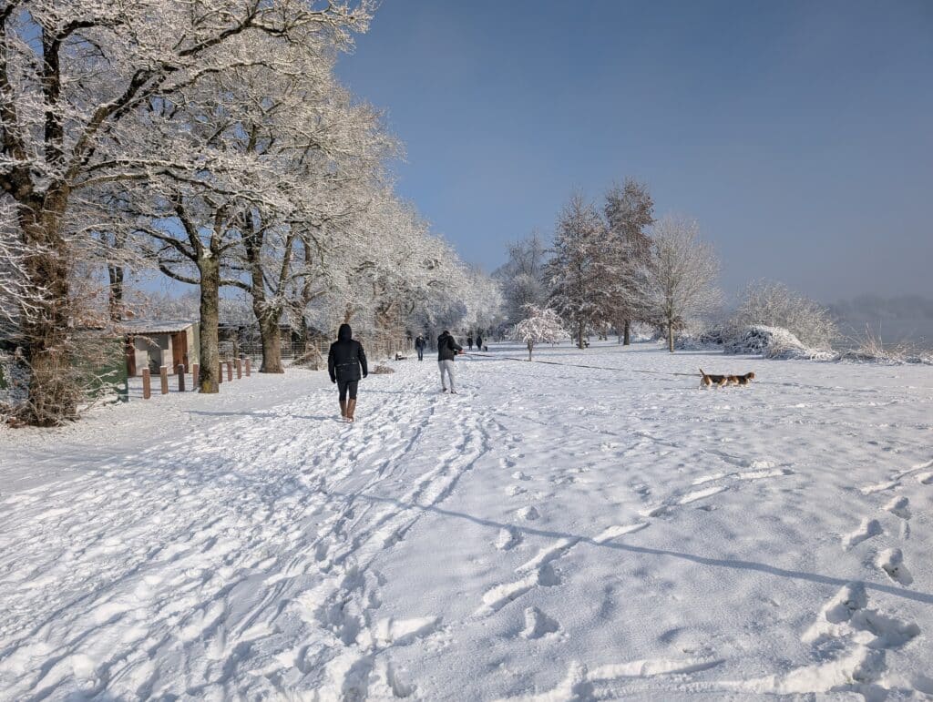 PXL 20260106 103251725