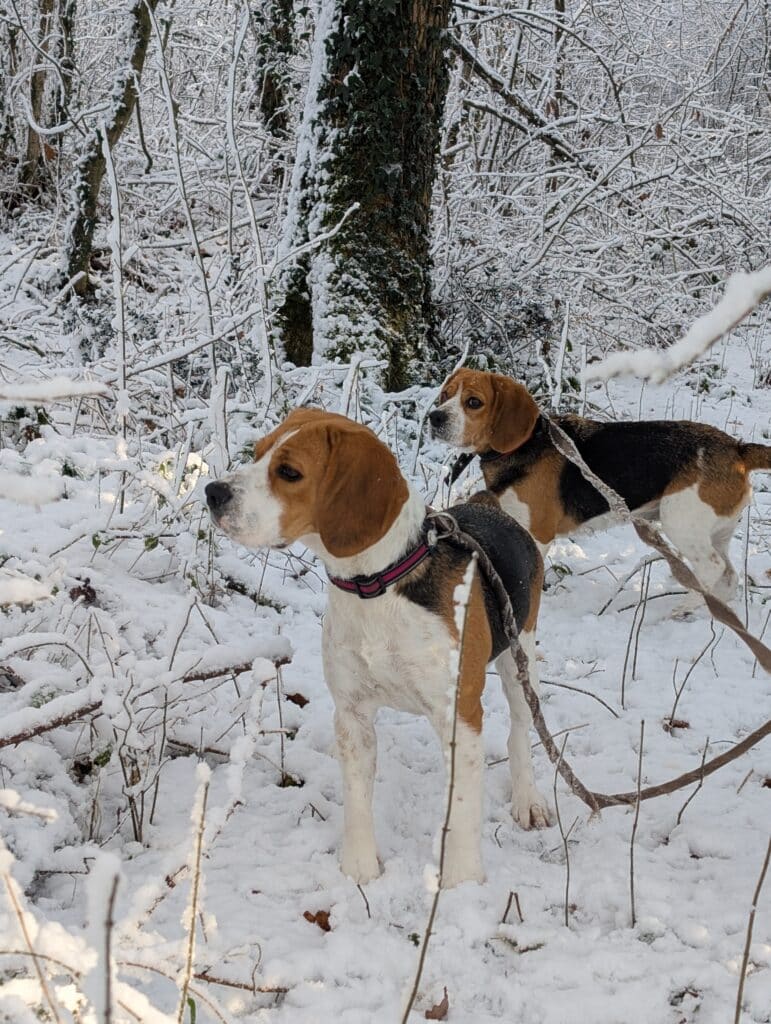 PXL 20260106 105333053