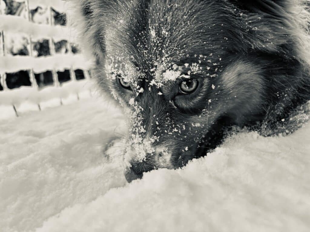 e80950db 0d1f 49b6 abb2 b5b3d96d1125