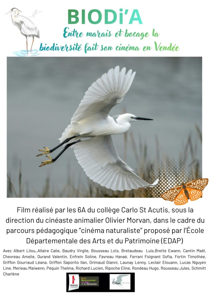Affiche cinema animalier cersion finale dessin