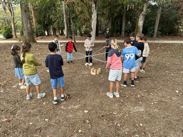 IMG 2584